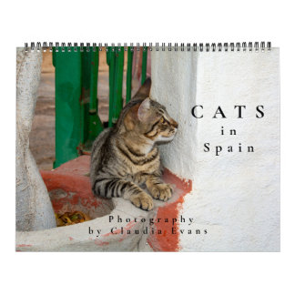 Katten in Spanje Kalender
