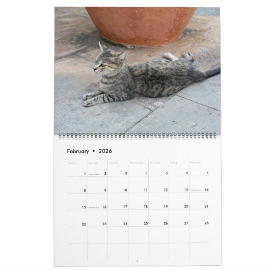Katten in Spanje Kalender (Feb 2026)