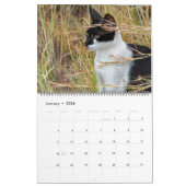 Katten in Spanje Kalender (Jan 2026)