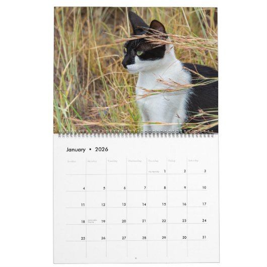Katten in Spanje Kalender (Jan 2026)