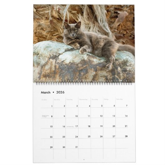 Katten in Spanje Kalender (Mar 2026)