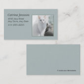 Katten in Sunny Window Visitekaartje (Voorkant / Achterkant)