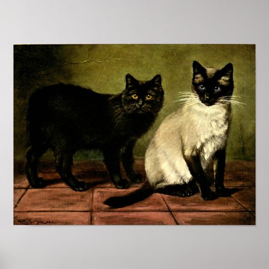 Katten in zwart-wit Poster (Voorkant)