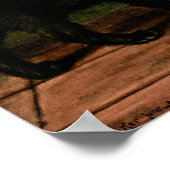 Katten in zwart-wit Poster (Hoek)