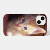 Katten iPhone Hoesje (Achterkant horizontaal)