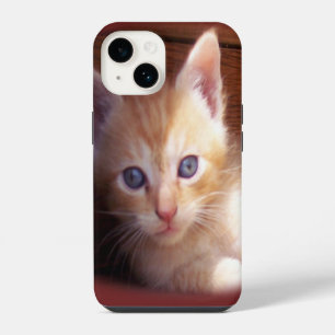 Katten iPhone 14 Hoesje