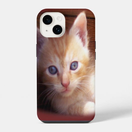 Katten iPhone Hoesje (Achterkant)