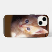 Katten iPhone Hoesje (Achterkant horizontaal)