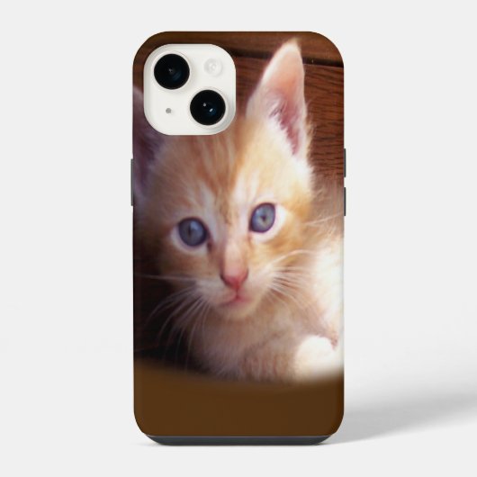 Katten iPhone Hoesje (Achterkant)