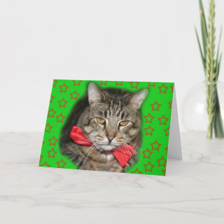 katten kaart