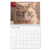 Katten Kalender (Mar 2027)