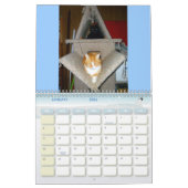 Katten Kalender (Jan 2026)