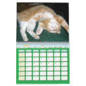 Katten Kalender (Mar 2026)