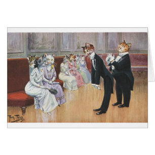  katten - kan ik deze dansdag hebben?