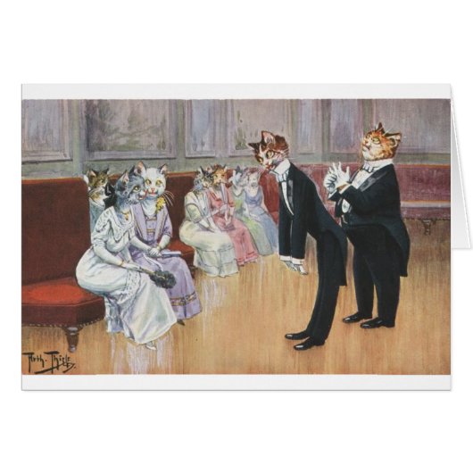 katten - kan ik deze dansdag hebben? (Voorkant Horizontaal)