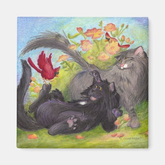 Katten, Kardinalen en Rozen / Magneet (Voorkant)