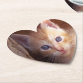 Katten Kartonnen Onderzetters (Gekanteld)