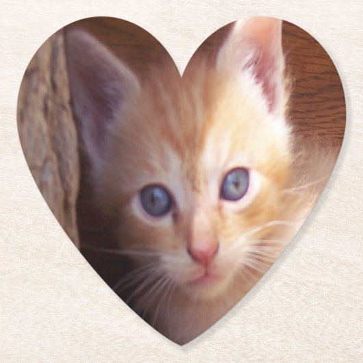 Katten Kartonnen Onderzetters (Voorkant)