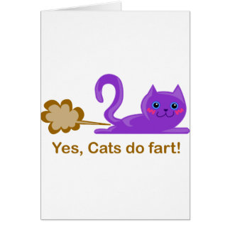 Katten - katten