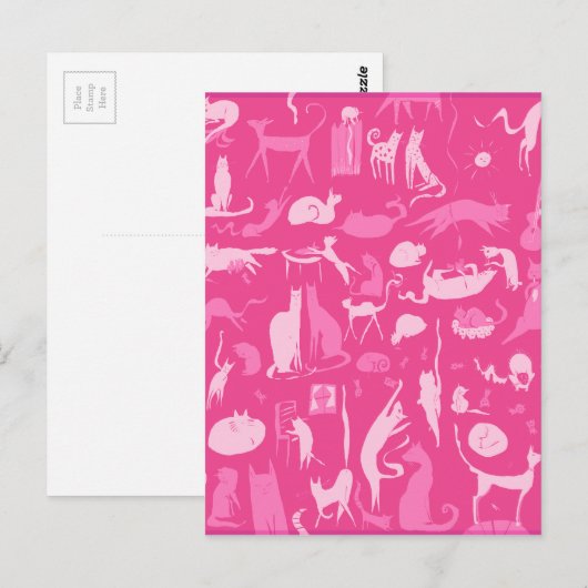 Katten! Katten! Katten! Briefkaart (Voorkant / Achterkant)