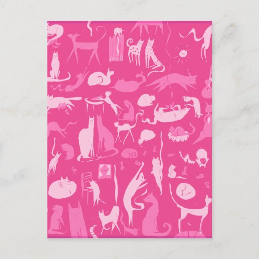 Katten! Katten! Katten! Briefkaart (Voorkant)