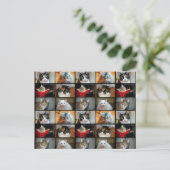 Katten Katten Katten Briefkaart (Staand voorkant)