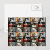 Katten Katten Katten Briefkaart (Voorkant / Achterkant)