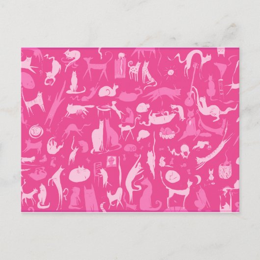 Katten! Katten! Katten! Briefkaart (Voorkant)