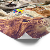 Katten katten katten... Kat Collage Poster (Hoek)
