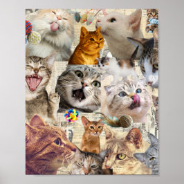 Katten katten katten... Kat Collage Poster