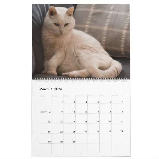 Katten, Katten, Katten, Katten, Kalender 2023 (Mar 2026)