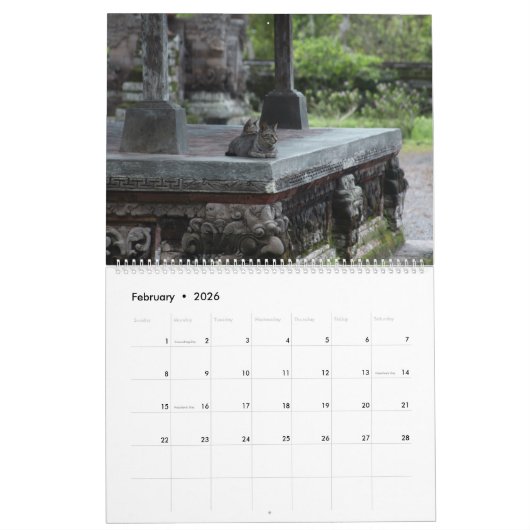 Katten, Katten, Katten, Katten, Kalender 2023 (Feb 2026)