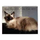 Katten, Katten, Katten, Katten, Kalender 2023 (Hoes)