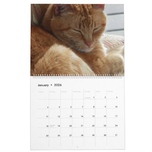 Katten, Katten, Katten, Katten, Kalender 2023 (Jan 2026)
