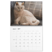 Katten, Katten, Katten, Katten, Kalender 2023 (Mar 2027)