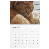 Katten, Katten, Katten, Katten, Kalender 2023 (Jan 2027)