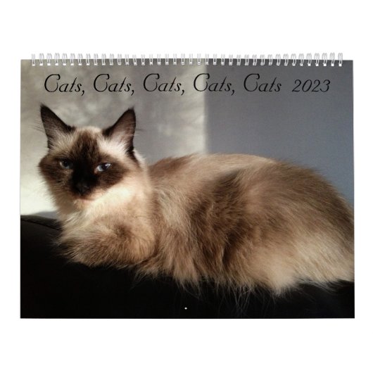 Katten, Katten, Katten, Katten, Kalender 2023 (Hoes)