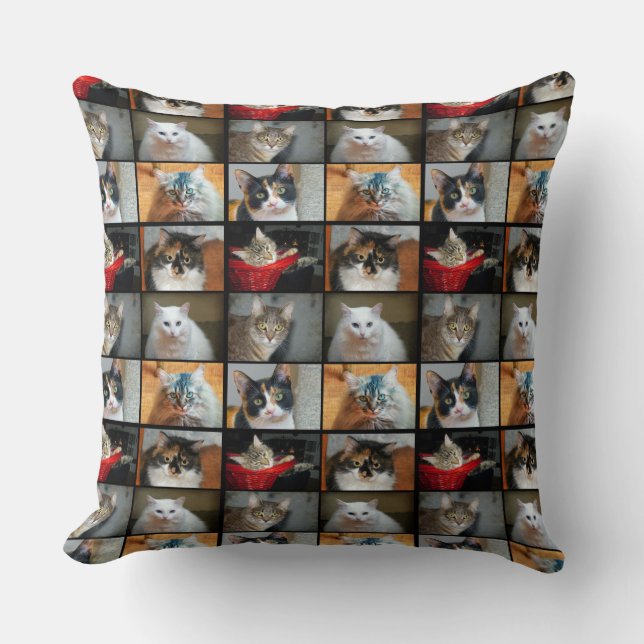 Katten Katten Kussen (Voorkant)