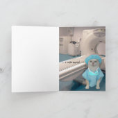  katten/Katten worden beter Kaart (Binnen)