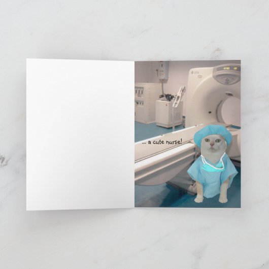 katten/Katten worden beter Kaart (Binnen)