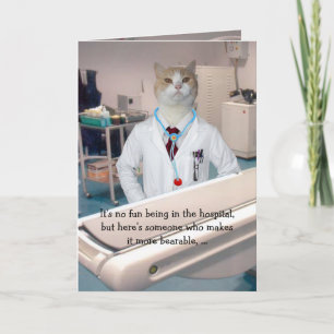  katten/Katten worden beter Kaart