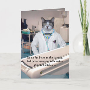  katten/Katten worden beter Kaart