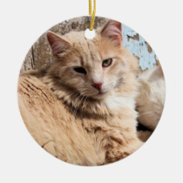 Katten Keramisch Ornament
