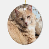 Katten Keramisch Ornament (Links)