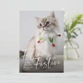 Katten Kerst Foto Vakantie  Feestdagenkaart (Staand voorkant)