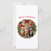 Katten kerst kaarten (Voorkant)