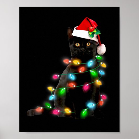 Katten Kerst Licht Grappige Kattenliefhebber Kerst Poster (Voorkant)