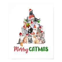 Katten Kerstboom Kattenliefhebber Kerstvakantie 
