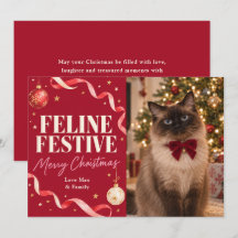 Katten Kerstmis Foto