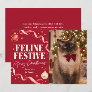 Katten Kerstmis Foto Feestdagenkaart